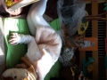 20170405_142145